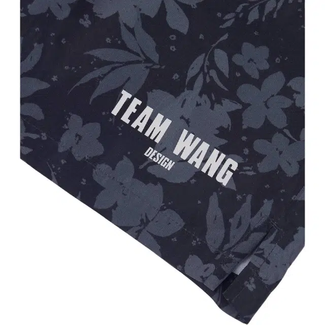 TEAM WANG design SS24 I SEE THE LIGHTS logo