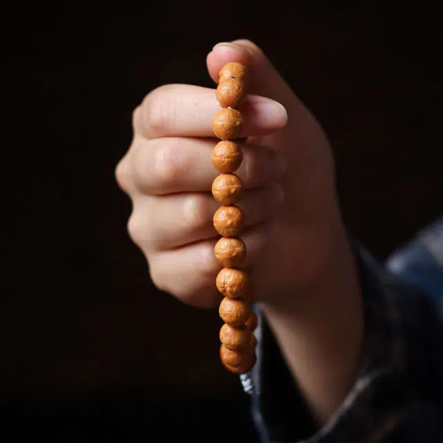 爵倾 猴头凤眼款 精品猴头精工雕刻凤眼 颗颗规整统一 金刚菩提 手串 男款