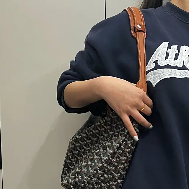 FANJI GoyardHobo bag