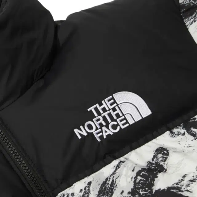 THE NORTH FACE M'S 1996 NOVELTY NUPTSE JACKET