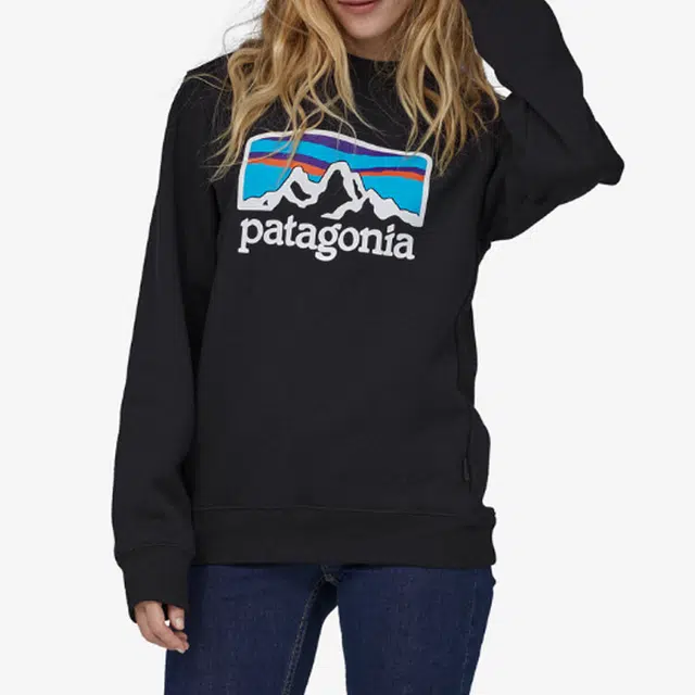patagonia Fitz Roy Horizons Uprisal Crew