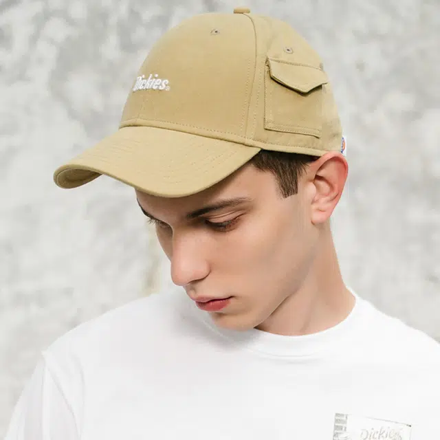 Dickies LOGO