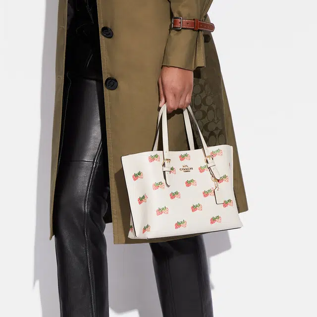COACH Mollie 25 Tote
