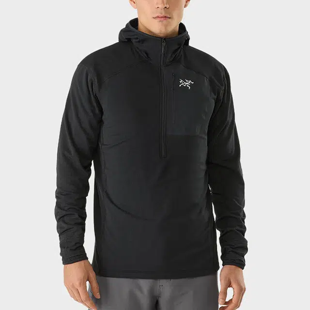 Arcteryx Delta 12 Zip Hoody Logo