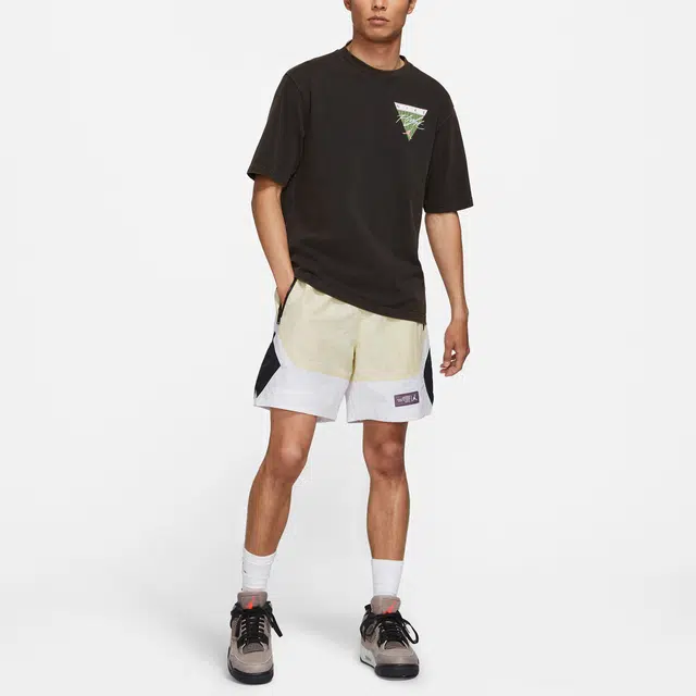 Air Jordan Flight Essentials Washed T