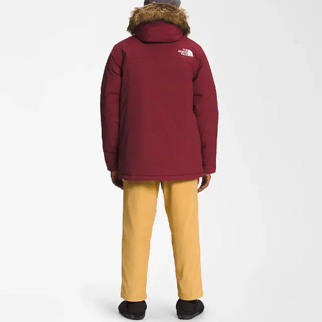 THE NORTH FACE FW22 Logo