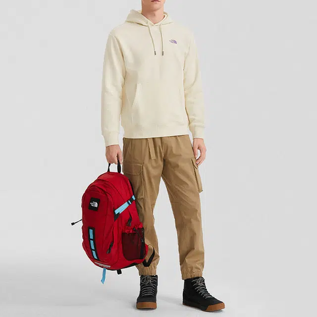 THE NORTH FACE Logo