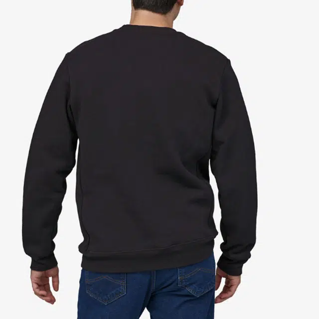 patagonia Fitz Roy Horizons Uprisal Crew