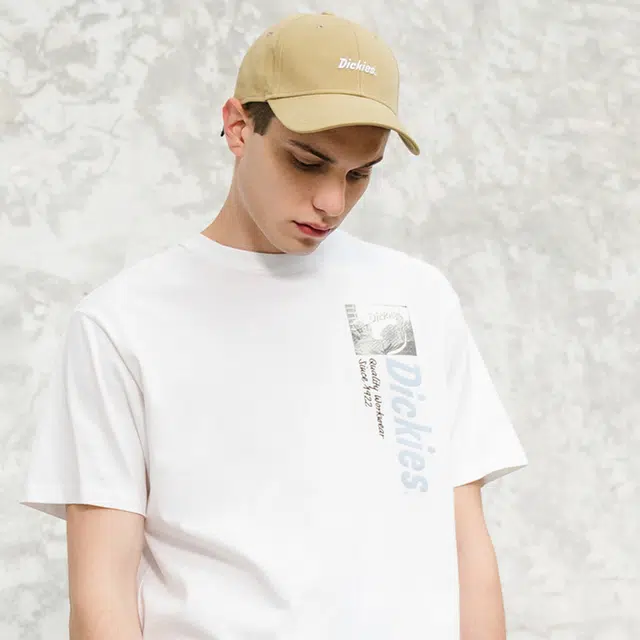 Dickies LOGO