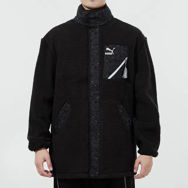Puma Paisley logo