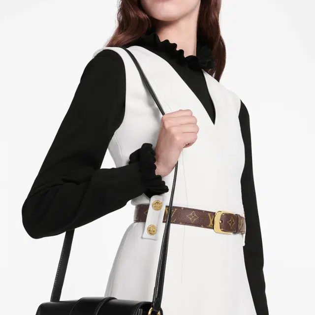 LOUIS VUITTON Ellipse