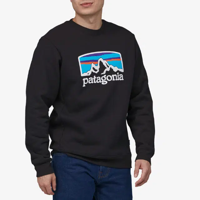 patagonia Fitz Roy Horizons Uprisal Crew