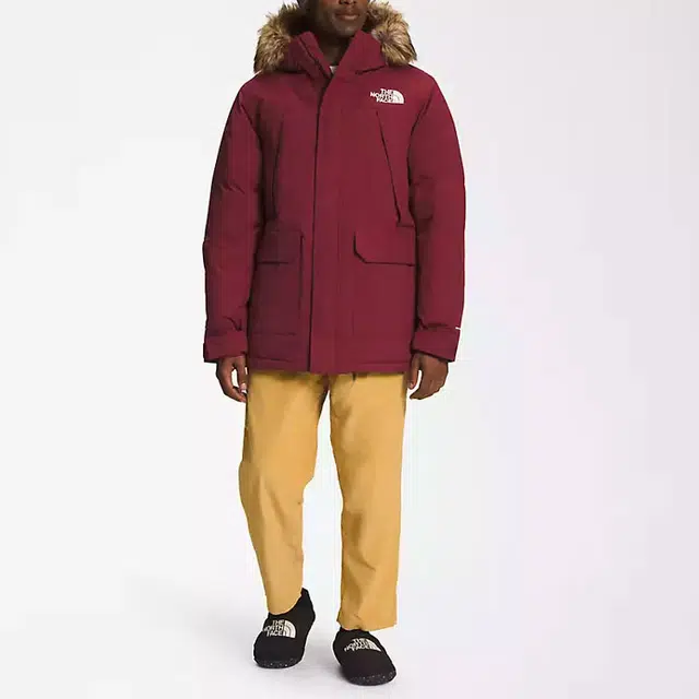 THE NORTH FACE FW22 Logo