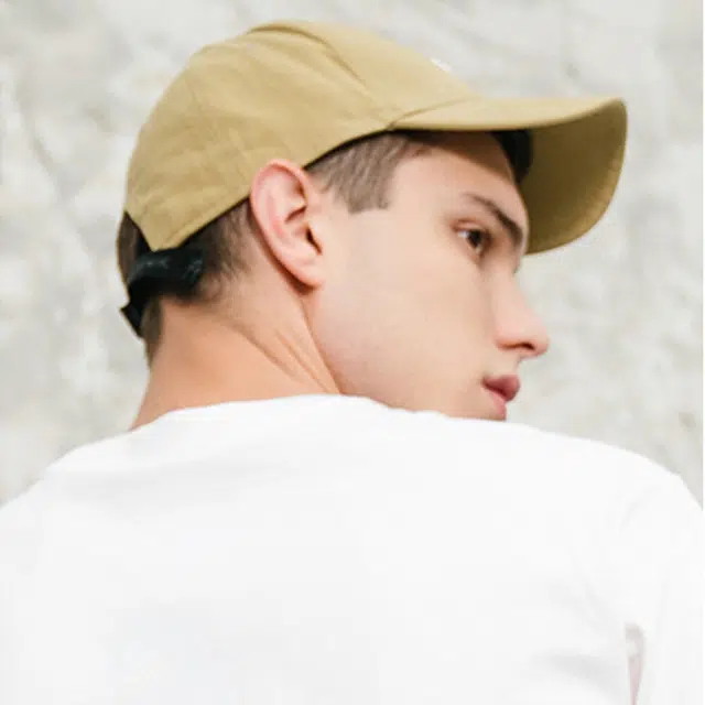 Dickies LOGO
