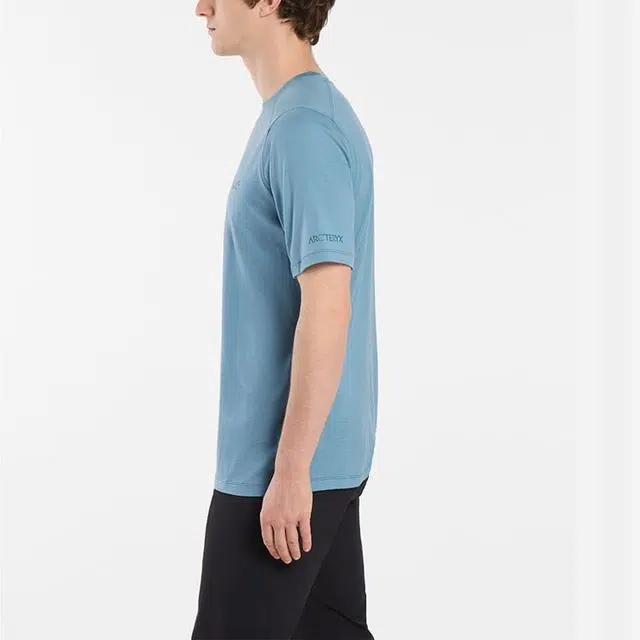 Arcteryx Ionia Merino Wool Logo Tee LogoT
