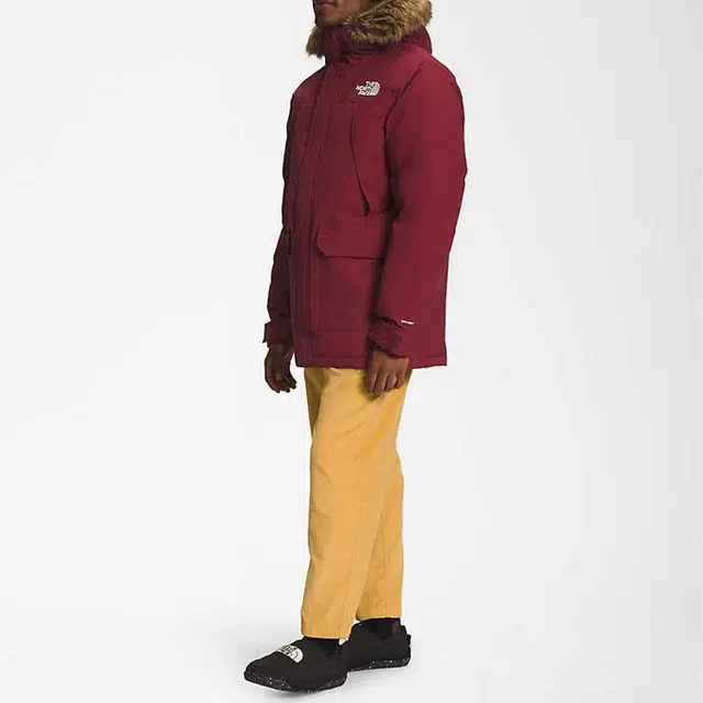 THE NORTH FACE FW22 Logo