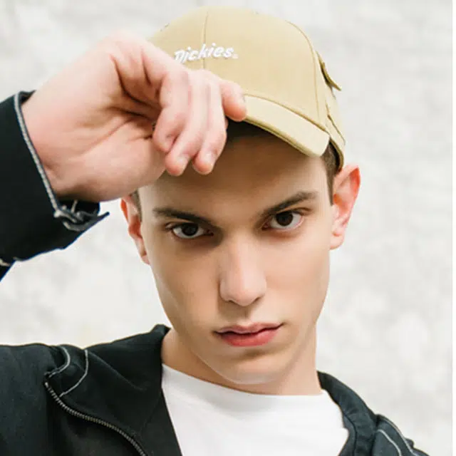 Dickies LOGO