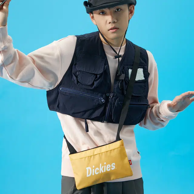 Dickies