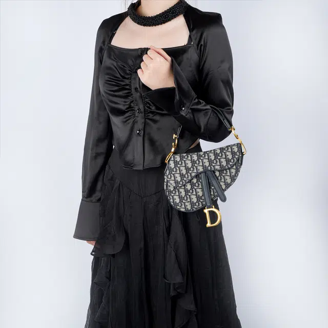 DIOR Saddle Oblique