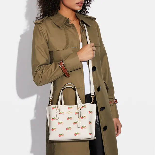 COACH Mollie 25 Tote