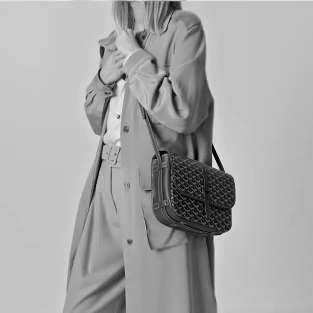 GOYARD Belvédère Medium Crossbody Bag Gray