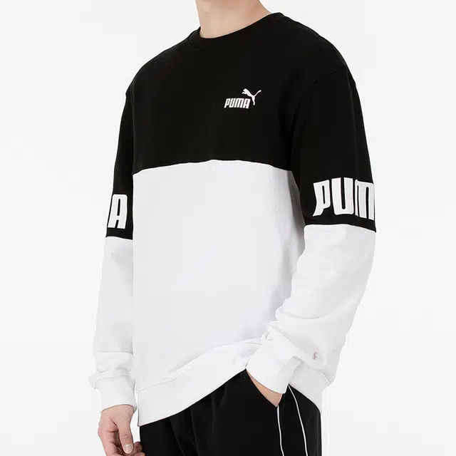Puma Power Logo