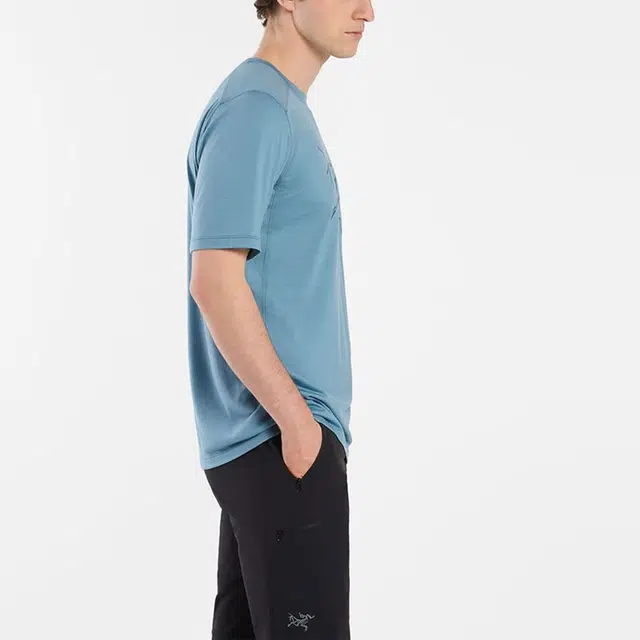Arcteryx Ionia Merino Wool Logo Tee LogoT