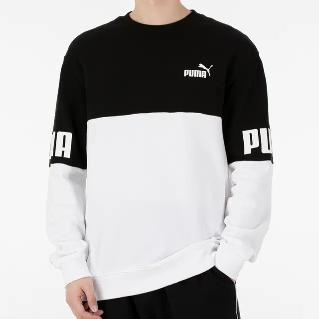 Puma Power Logo