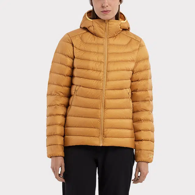 Arcteryx CERIUM Cerium Hoody W