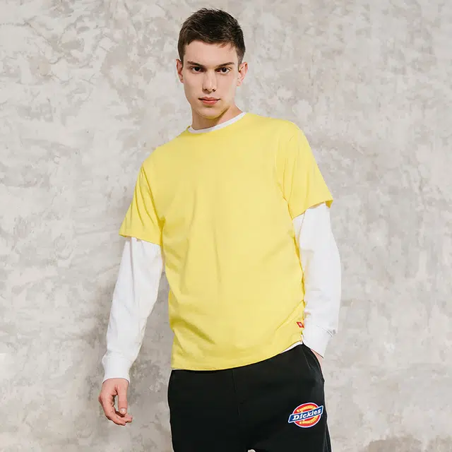 Dickies SS21 logoT
