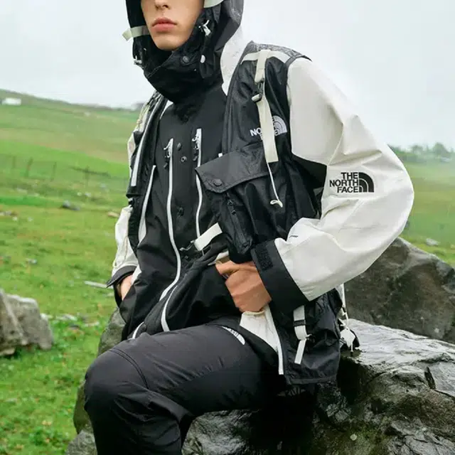 THE NORTH FACE Logo