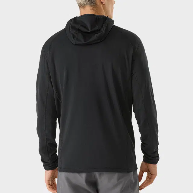 Arcteryx Delta 12 Zip Hoody Logo
