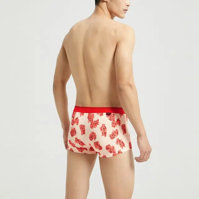 CKCalvin Klein Logo 1