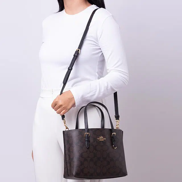 COACH Mollie 25 Tote