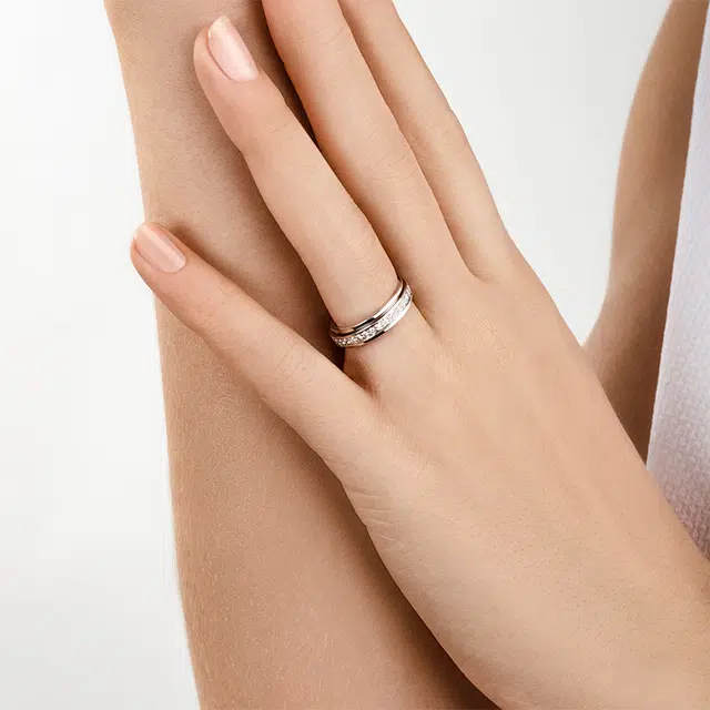 PIAGET Possession