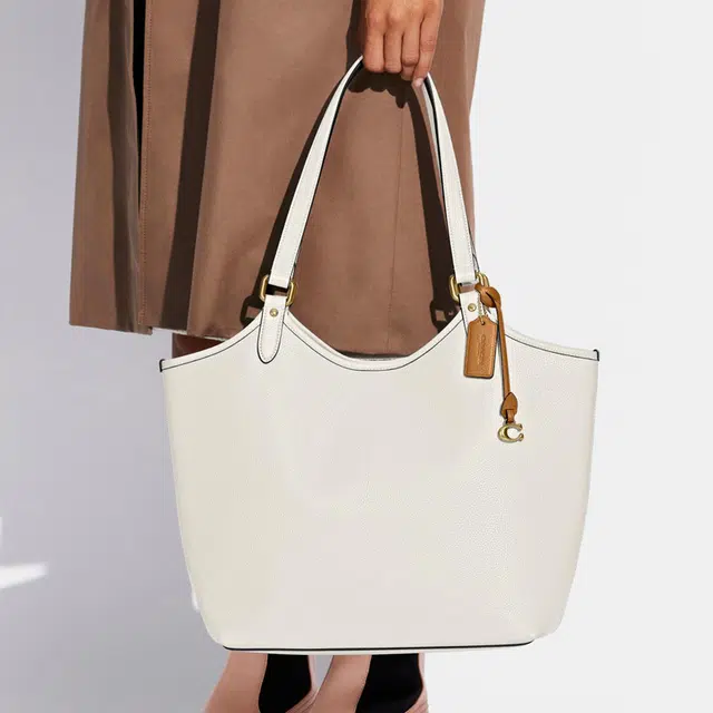 COACH Day 32 Tote