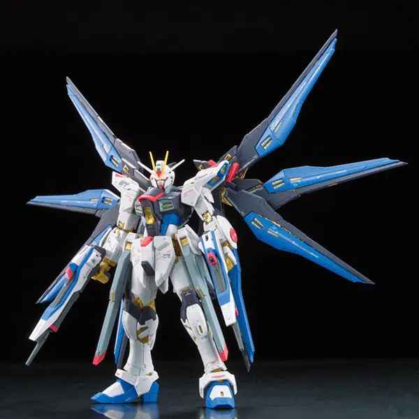 BANDAI RG 1144 SEED DESTINY 13cm