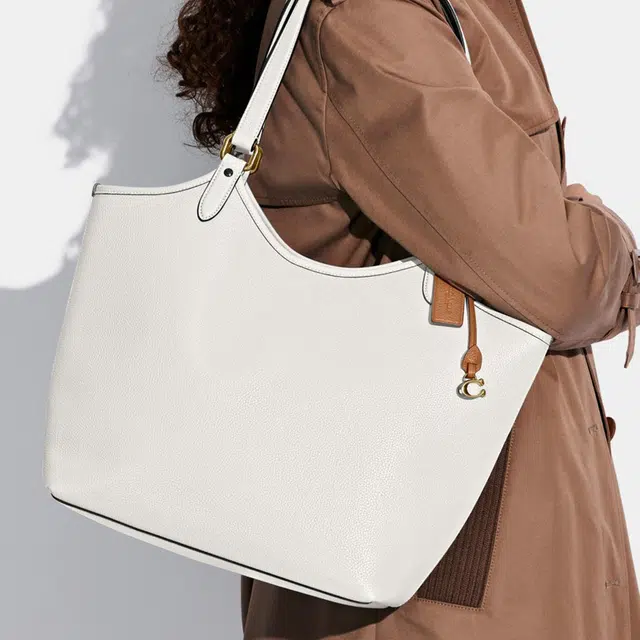 COACH Day 32 Tote