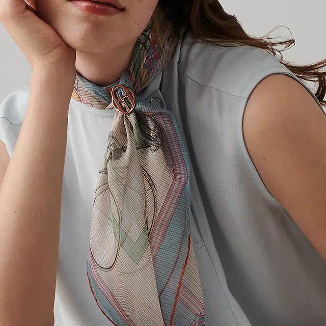 HERMES