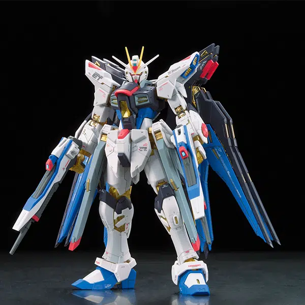 BANDAI RG 1144 SEED DESTINY 13cm