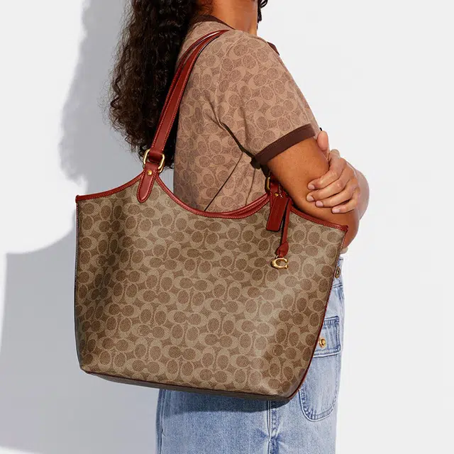 COACH Day 32 Tote