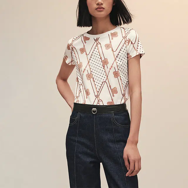 HERMES T
