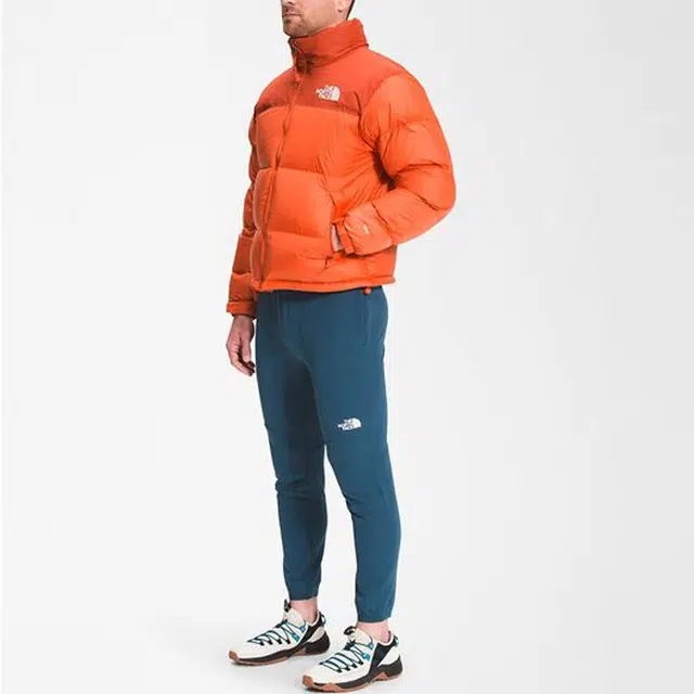 THE NORTH FACE 1996 Retro Nuptse 700