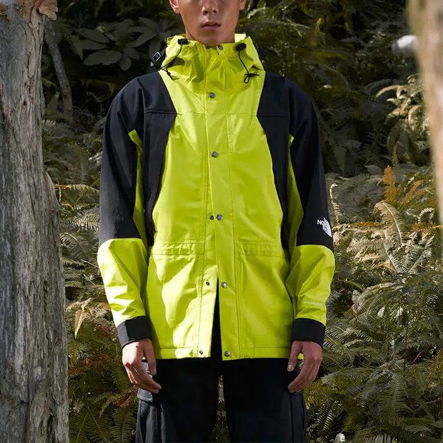 THE NORTH FACE 1994 Mountain Light Jacket