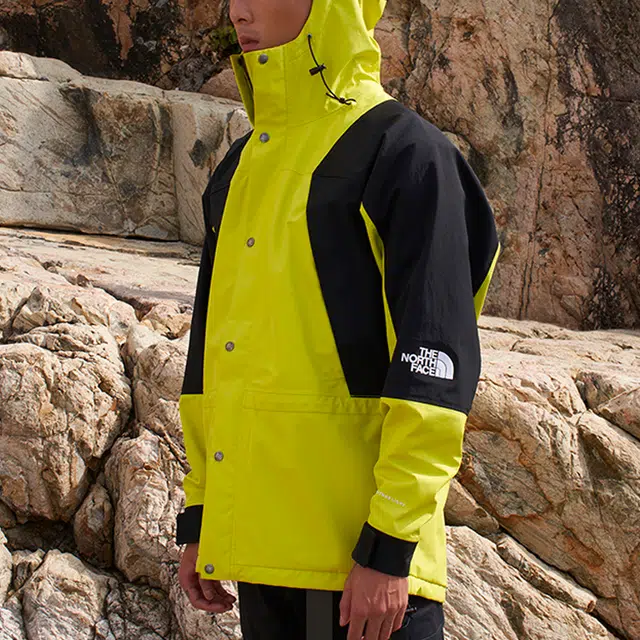THE NORTH FACE 1994 Mountain Light Jacket