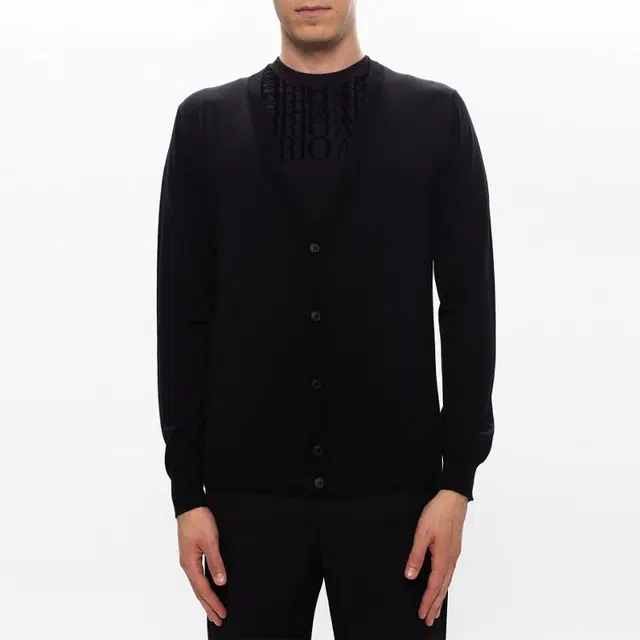 EMPORIO ARMANI LogoV