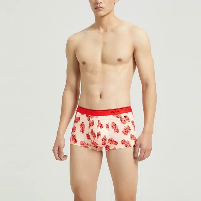 CKCalvin Klein Logo 1
