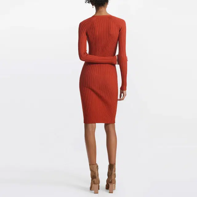 DION LEE
