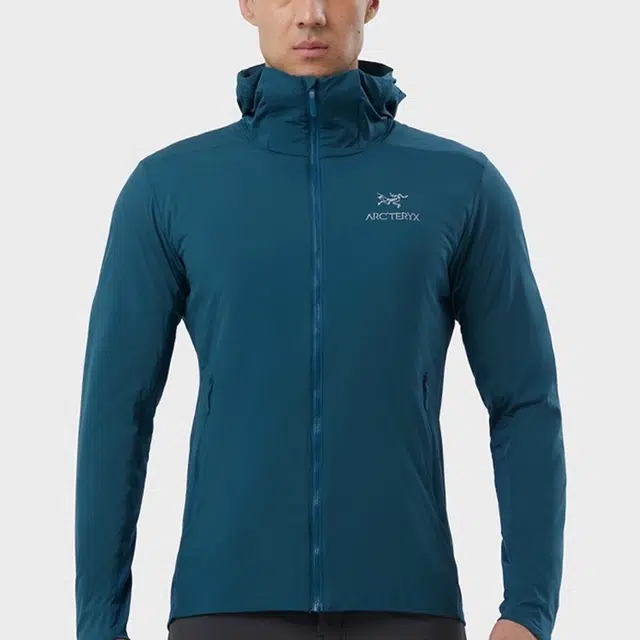 Arcteryx Atom SL hoody