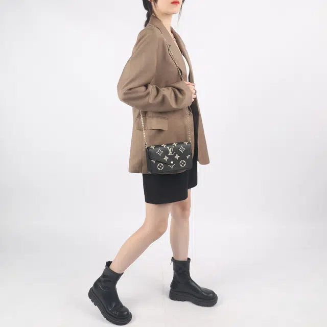 LOUIS VUITTON Pochette Flicie